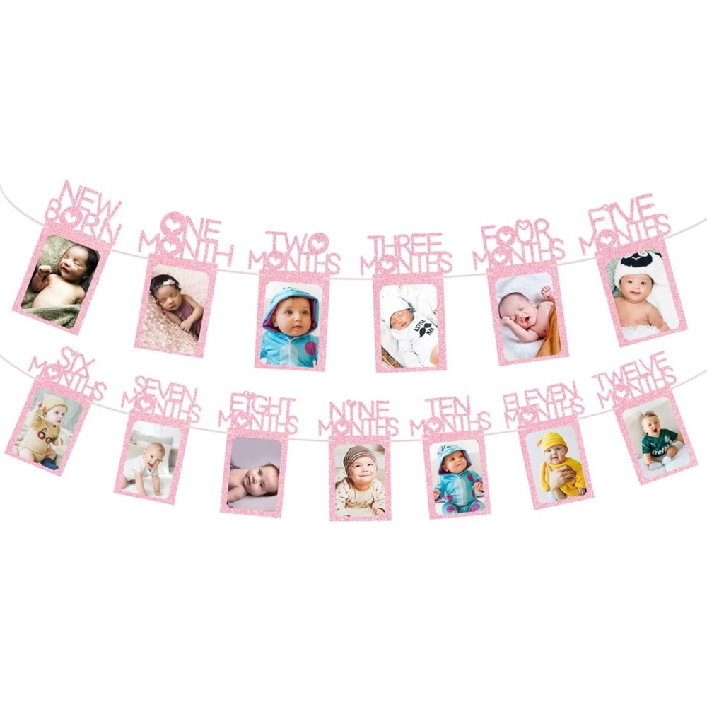 Baby girl first birthday picture months banner sign
